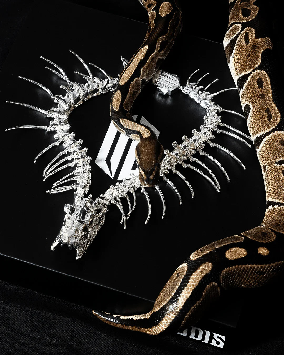 REPTILE REMAINS SILVER COLLAR