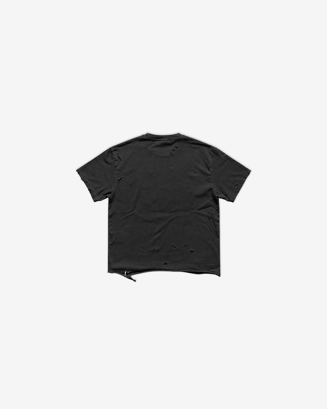 WORN OUT WASHED T-SHIRT