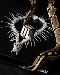 REPTILE REMAINS SILVER COLLAR