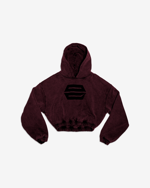 HEAVY-WEIGHT WASHED RED REVERSE LOGO HOODIE